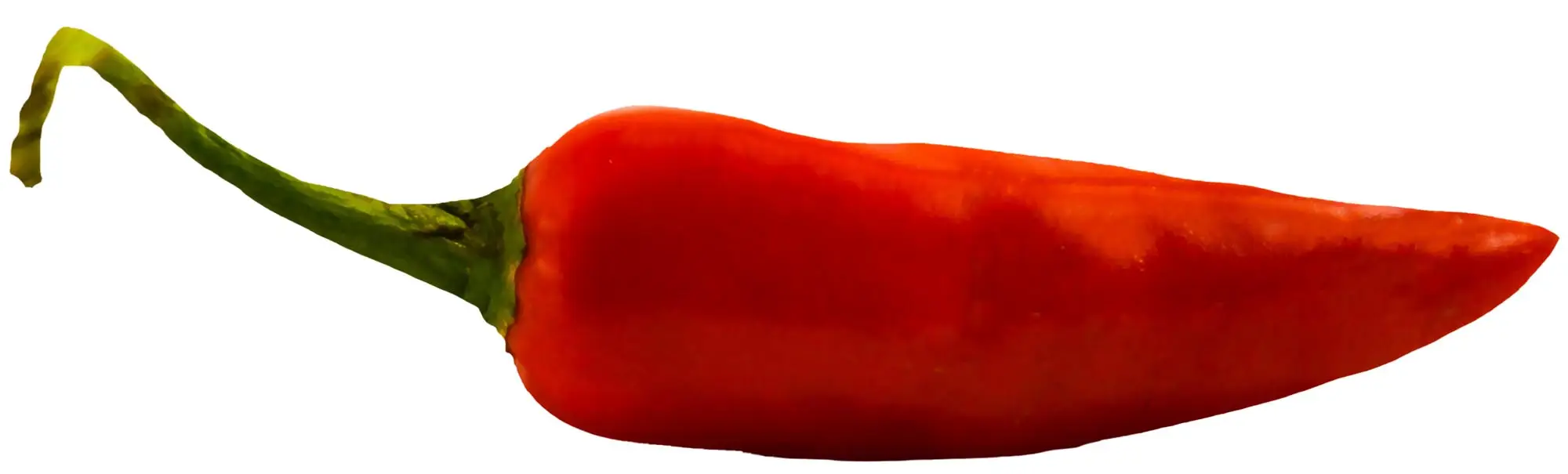 red-chili