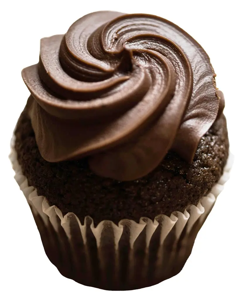 Chocolate Cupcake