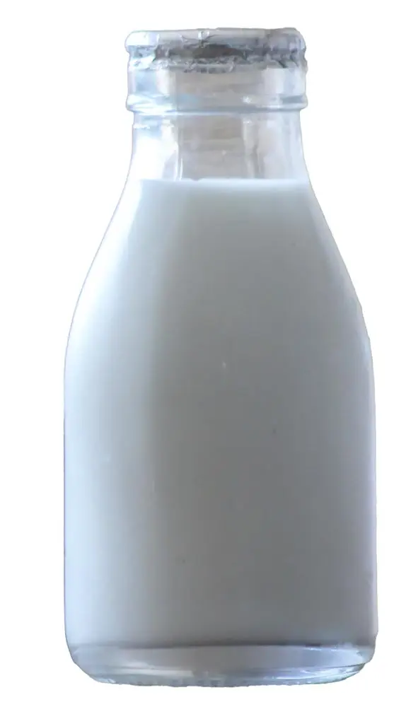 Milk Bottle