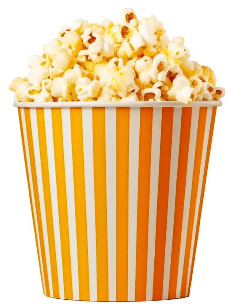 Popcorn Bucket