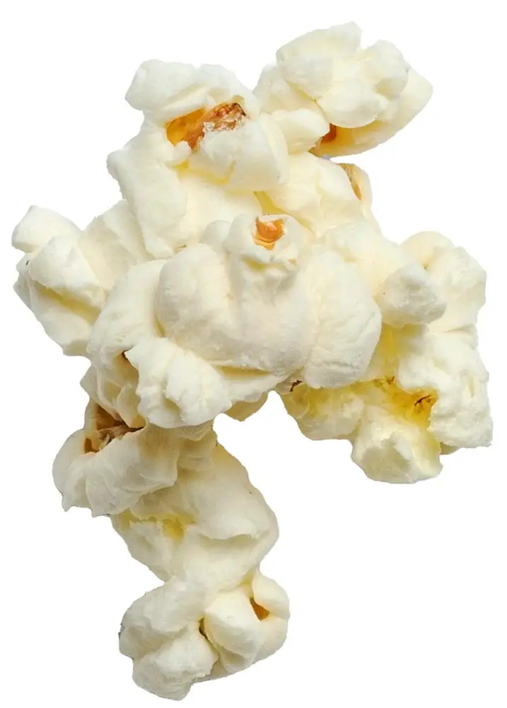 Single Popcorn