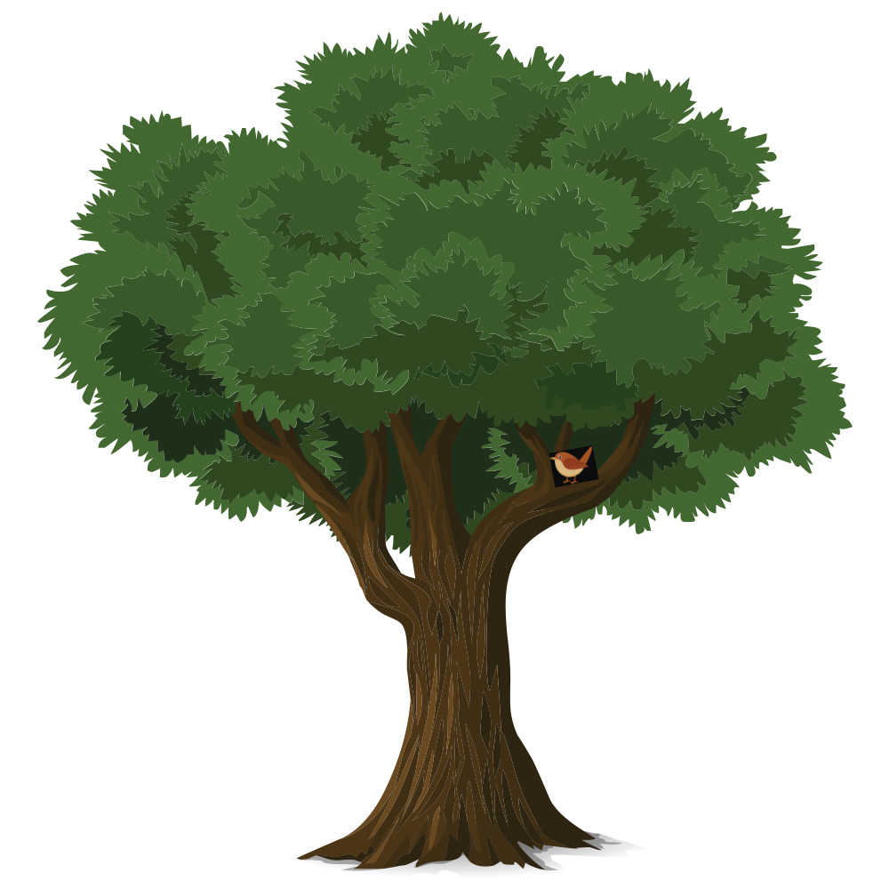 Leafy green vector tree with wide illustrated canopy and sturdy trunk in a clean nature friendly style.