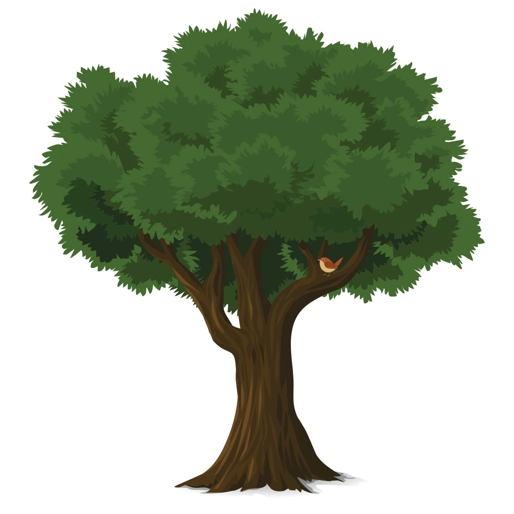 Leafy green vector tree with wide illustrated canopy and sturdy trunk in a clean nature friendly style.
